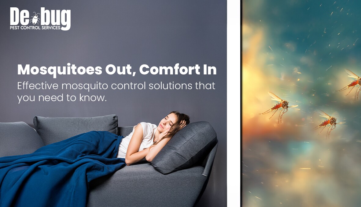 testing Newsletter 08